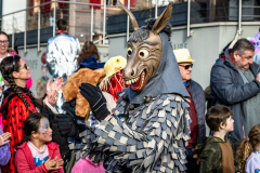 2026-02-01-michael-fotografiert-Reblandtreffen-0008