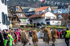 2026-02-01-michael-fotografiert-Reblandtreffen-0015