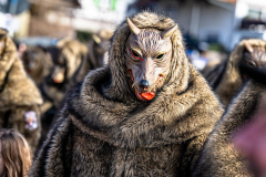 2026-02-01-michael-fotografiert-Reblandtreffen-0041