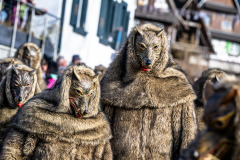 2026-02-01-michael-fotografiert-Reblandtreffen-0042