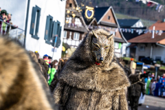 2026-02-01-michael-fotografiert-Reblandtreffen-0043