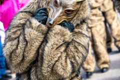 2026-02-01-michael-fotografiert-Reblandtreffen-0044