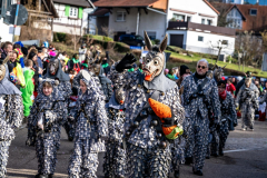 2026-02-01-michael-fotografiert-Reblandtreffen-0049