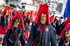 2026-02-01-michael-fotografiert-Reblandtreffen-0055