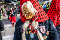 2026-02-01-michael-fotografiert-Reblandtreffen-0058