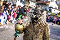 2026-02-01-michael-fotografiert-Reblandtreffen-0063