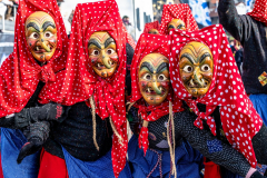 2026-02-01-michael-fotografiert-Reblandtreffen-0078