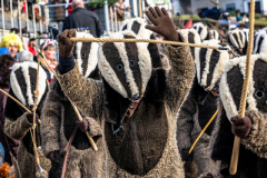 2026-02-01-michael-fotografiert-Reblandtreffen-0089