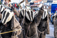 2026-02-01-michael-fotografiert-Reblandtreffen-0090