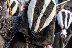 2026-02-01-michael-fotografiert-Reblandtreffen-0091