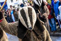 2026-02-01-michael-fotografiert-Reblandtreffen-0092