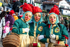 2026-02-01-michael-fotografiert-Reblandtreffen-0098