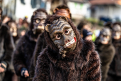 2026-02-01-michael-fotografiert-Reblandtreffen-0114