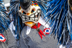 2026-02-01-michael-fotografiert-Reblandtreffen-0152