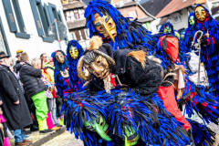 2026-02-01-michael-fotografiert-Reblandtreffen-0188