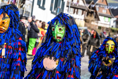 2026-02-01-michael-fotografiert-Reblandtreffen-0190