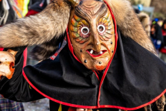 2026-02-01-michael-fotografiert-Reblandtreffen-0206