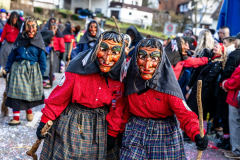 2026-02-01-michael-fotografiert-Reblandtreffen-0207