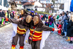 2026-02-01-michael-fotografiert-Reblandtreffen-0242