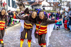 2026-02-01-michael-fotografiert-Reblandtreffen-0243