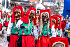 2026-02-01-michael-fotografiert-Reblandtreffen-0295