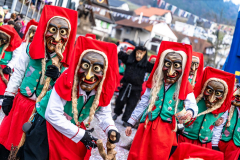 2026-02-01-michael-fotografiert-Reblandtreffen-0296