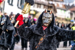 2026-02-01-michael-fotografiert-Reblandtreffen-0329