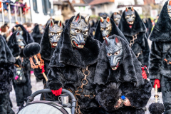 2026-02-01-michael-fotografiert-Reblandtreffen-0331