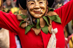 2026-02-01-michael-fotografiert-Reblandtreffen-0335