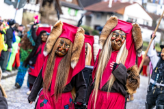 2026-02-01-michael-fotografiert-Reblandtreffen-0342