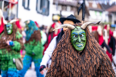 2026-02-01-michael-fotografiert-Reblandtreffen-0348