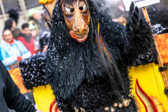 2026-02-01-michael-fotografiert-Reblandtreffen-0362