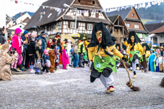 2026-02-01-michael-fotografiert-Reblandtreffen-0366