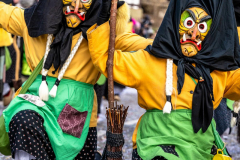 2026-02-01-michael-fotografiert-Reblandtreffen-0372