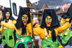 2026-02-01-michael-fotografiert-Reblandtreffen-0373