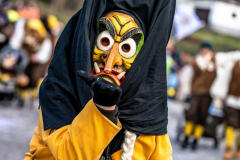 2026-02-01-michael-fotografiert-Reblandtreffen-0376