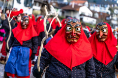 2026-02-01-michael-fotografiert-Reblandtreffen-0395