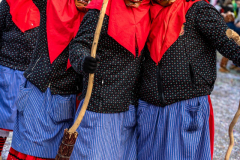 2026-02-01-michael-fotografiert-Reblandtreffen-0398