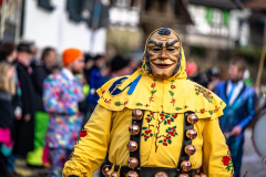 2026-02-01-michael-fotografiert-Reblandtreffen-0411