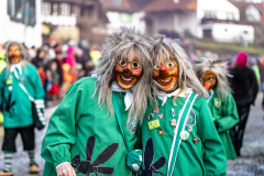 2026-02-01-michael-fotografiert-Reblandtreffen-0429