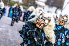 2026-02-01-michael-fotografiert-Reblandtreffen-0432