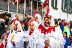 2026-02-01-michael-fotografiert-Reblandtreffen-0438