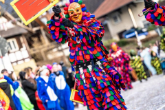 2026-02-01-michael-fotografiert-Reblandtreffen-0474