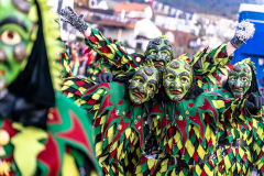 2026-02-01-michael-fotografiert-Reblandtreffen-0476