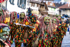 2026-02-01-michael-fotografiert-Reblandtreffen-0484