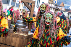 2026-02-01-michael-fotografiert-Reblandtreffen-0485