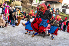 2026-02-01-michael-fotografiert-Reblandtreffen-0488