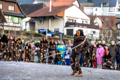 2026-02-01-michael-fotografiert-Reblandtreffen-0491